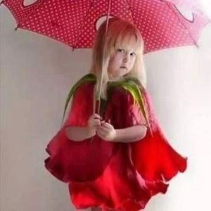 Meet your Posher, Nan thin